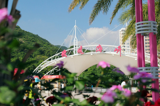 玫瑰海岸