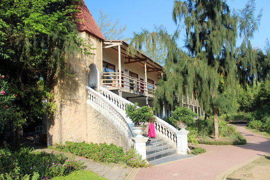 玫瑰海岸