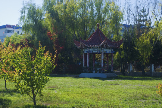 公園一角 涼亭 亭子 亭臺(tái)樓閣