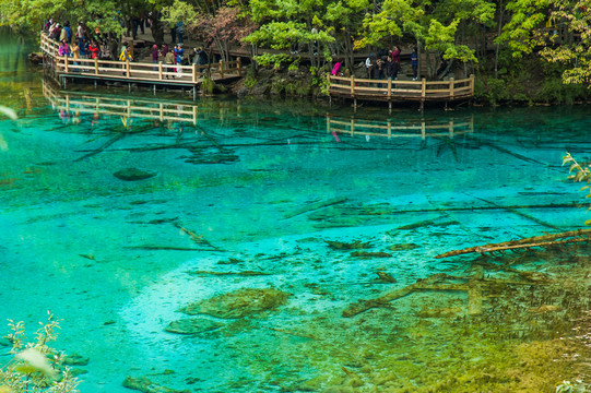 九寨溝旅游 五花海