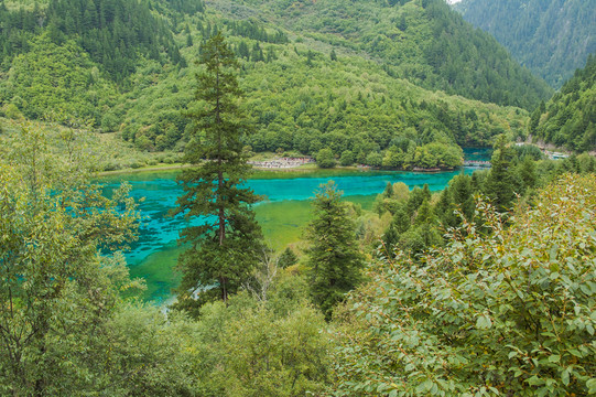 九寨溝山林湖泊 孔雀海