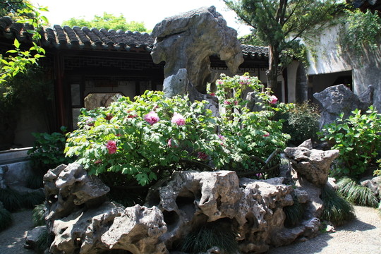 蘇州園林風光