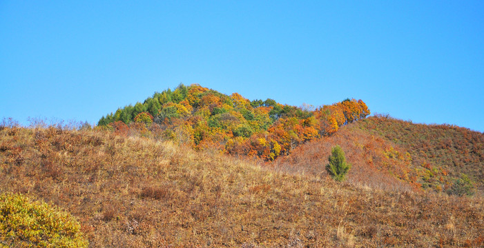 大山