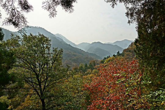 泰山山脈秋色