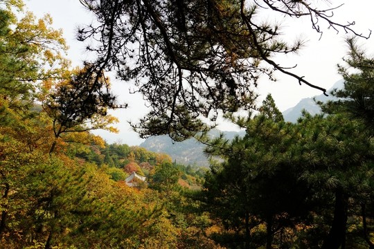 泰山秋色