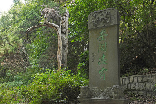 蔣氏故居奎閣凌霄石碑