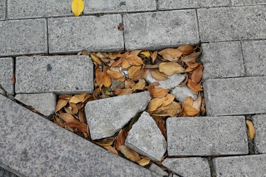 落葉