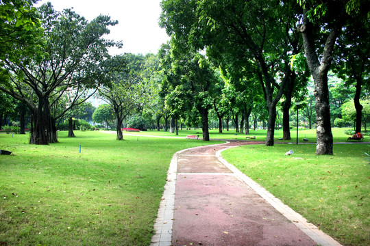 園林小路