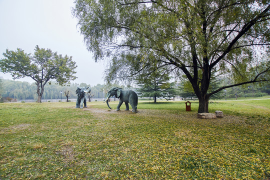公園