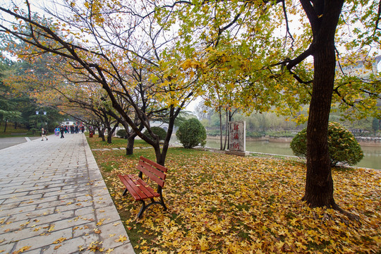 公園