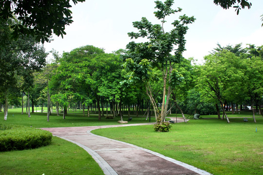 公園園林小路