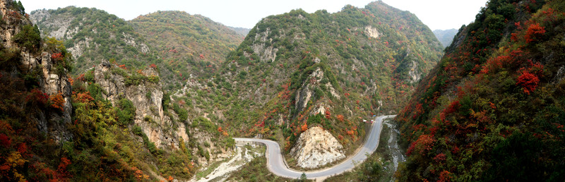 層林盡然紅葉景（大圖）