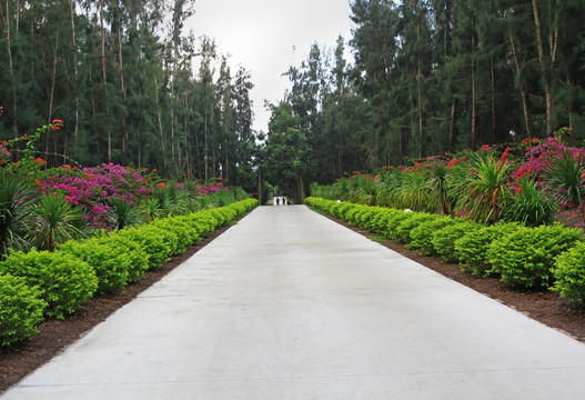 公園道路