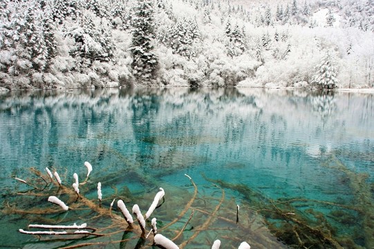 四川 九寨溝 雪景