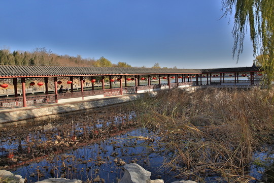 北宮森林公園