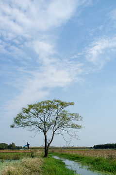 鄉(xiāng)村風光