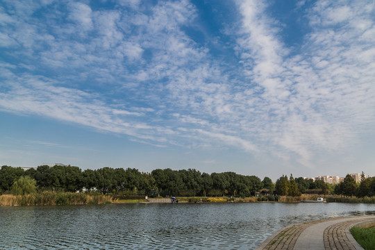 公園湖