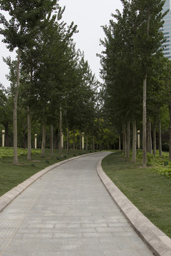 林間小路