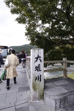 大堰川
