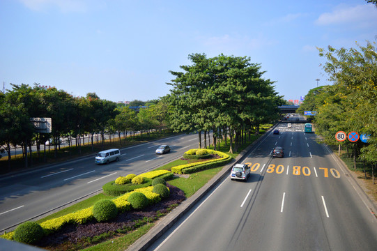 公路綠化美化