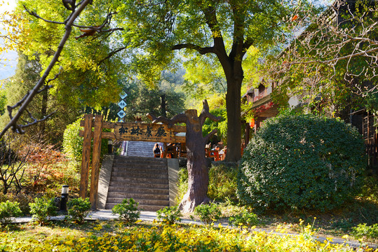 香山公園松林餐廳
