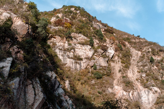 秦嶺 秋色