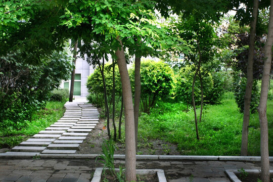 公園 綠化