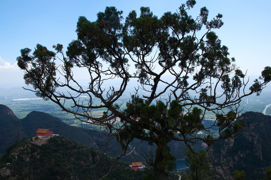 龍慶峽jpg