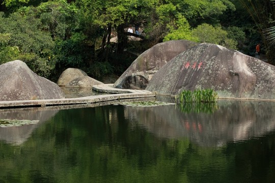 廈門園林植物園