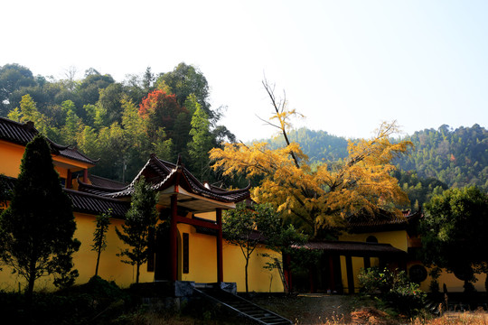 秋染彌陀寺