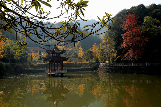 彌陀寺