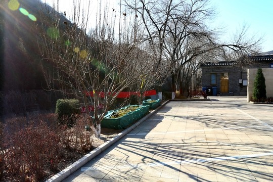 冬日陽(yáng)光