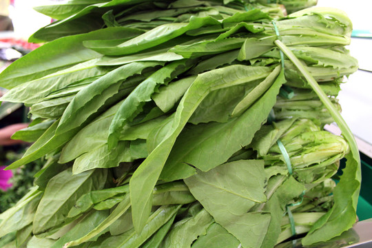 油麥菜
