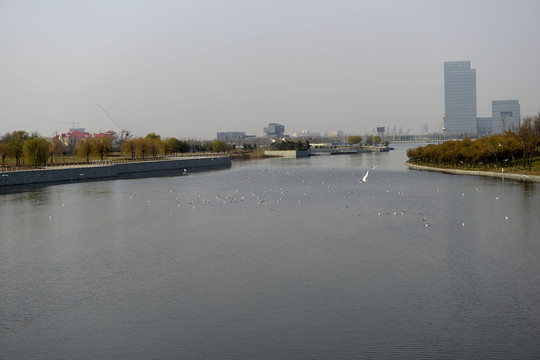 白沙河