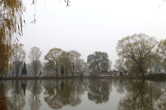 池塘風(fēng)景