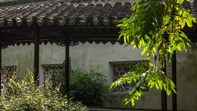 蘇州拙政園