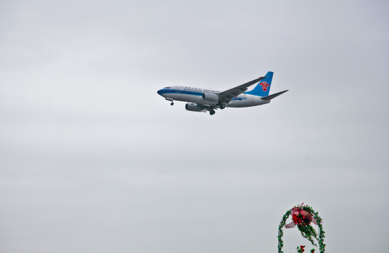 飛機與花籃