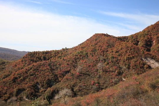 香山