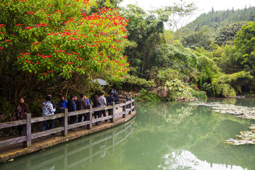 園林景觀 游人 湖水