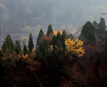 秋天的風(fēng)景
