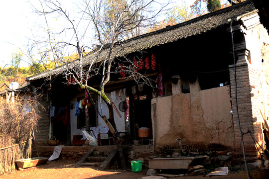 農(nóng)家院