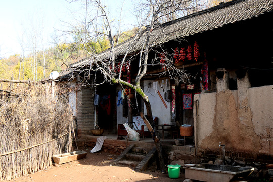 農(nóng)家院