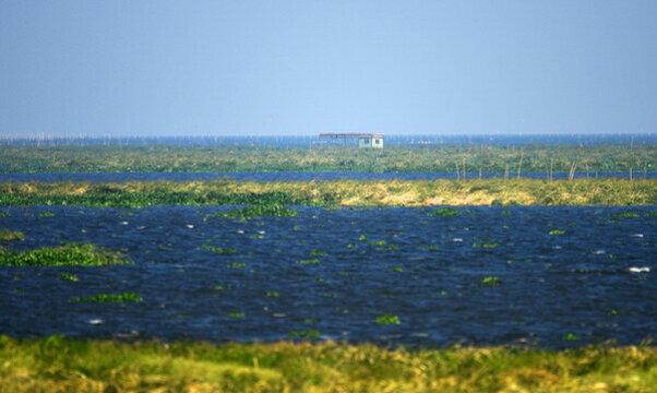 清清湖水