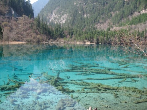 九寨溝風(fēng)景
