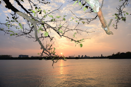 黃昏