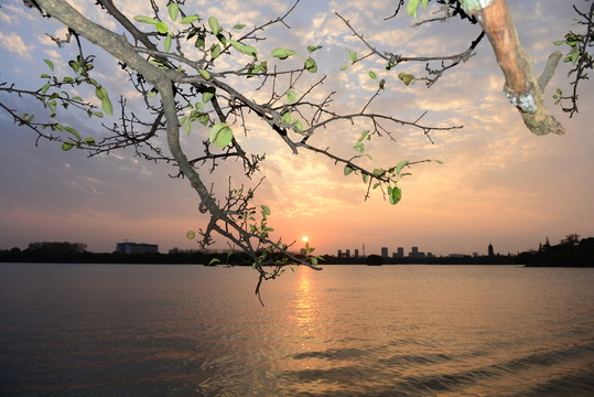 黃昏
