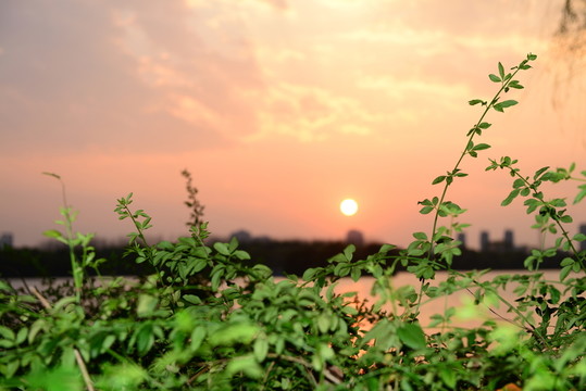 黃昏