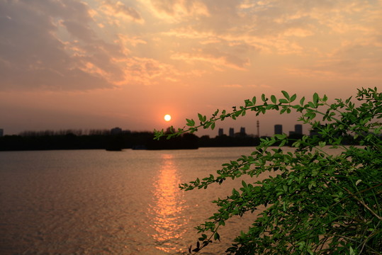 黃昏