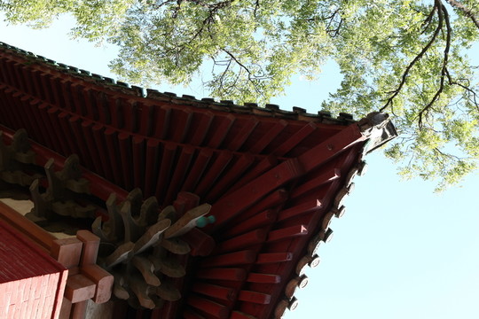 少林寺