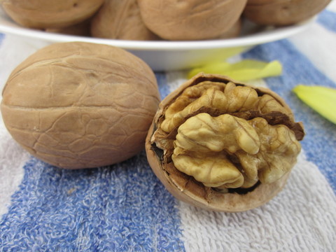 剝開(kāi)的核桃